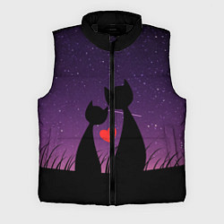 Мужской жилет Котики