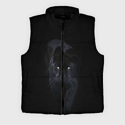 Мужской жилет Пантера, цвет: 3D-черный