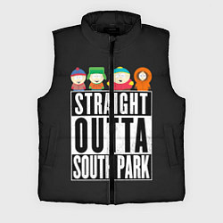 Мужской жилет South Park