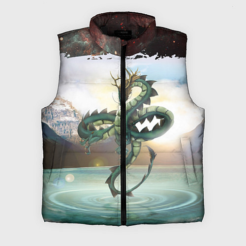 Мужской жилет Дракон / 3D-Черный – фото 1