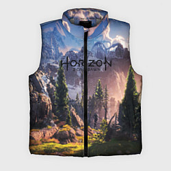 Мужской жилет Horizon Zero Dawn, цвет: 3D-светло-серый