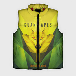 Мужской жилет Proud Like a God