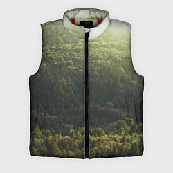 Мужской жилет Летний лес