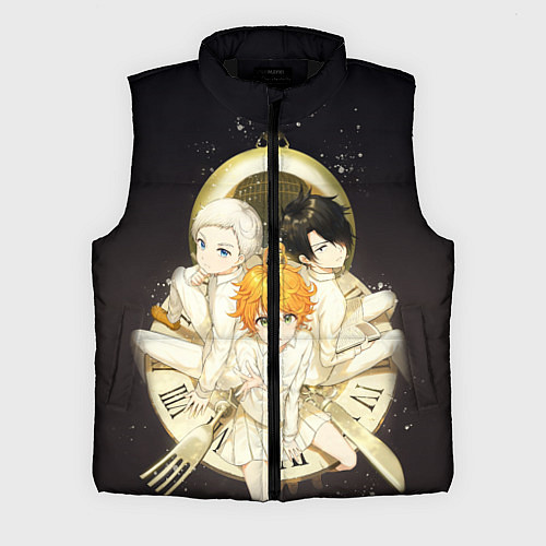 Мужской жилет Обещанный Неверленд / 3D-Черный – фото 1