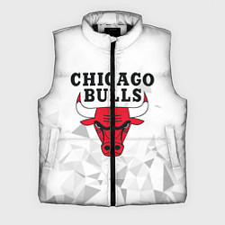 Мужской жилет CHICAGO BULLS, цвет: 3D-черный