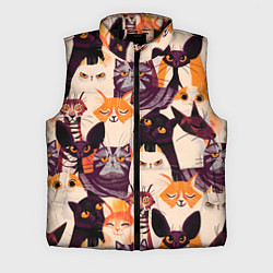 Мужской жилет КОТИКИ, цвет: 3D-черный