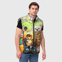 Мужской жилет КОТЫ, цвет: 3D-светло-серый — фото 2
