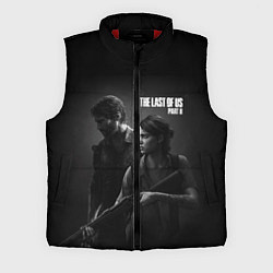 Мужской жилет The Last Of Us PART 2, цвет: 3D-красный