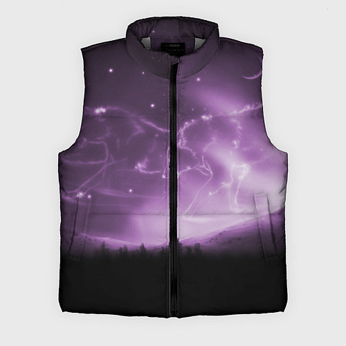 Мужской жилет ВОЛКИ СОЗВЕЗДИЯ D / 3D-Светло-серый – фото 1
