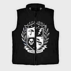 Мужской жилет Академия Амбрелла