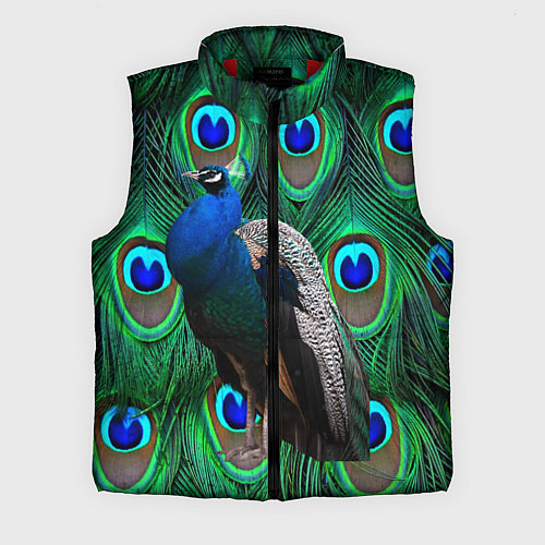 Мужской жилет Павлин на фоне своих перьев / 3D-Красный – фото 1