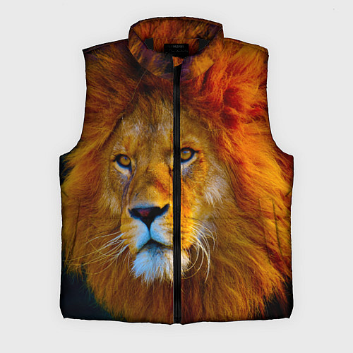 Мужской жилет Лев 3D / 3D-Черный – фото 1