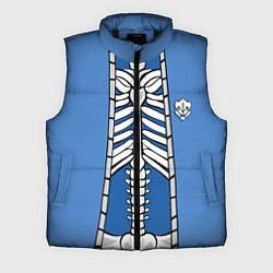 Мужской жилет КУРТКА САНСА SANS