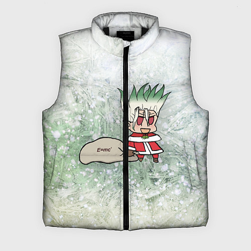 Мужской жилет Доктор Стоун новогодний / 3D-Черный – фото 1