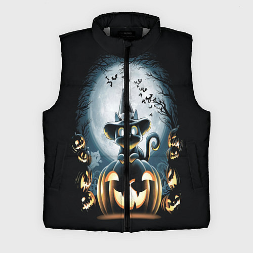 Мужской жилет Хэллоуин Кот / 3D-Светло-серый – фото 1