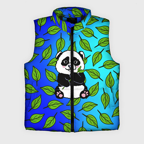 Мужской жилет Панда / 3D-Черный – фото 1