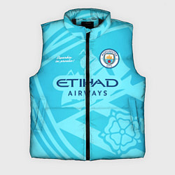 Мужской жилет MANCHESTER CITY, цвет: 3D-черный