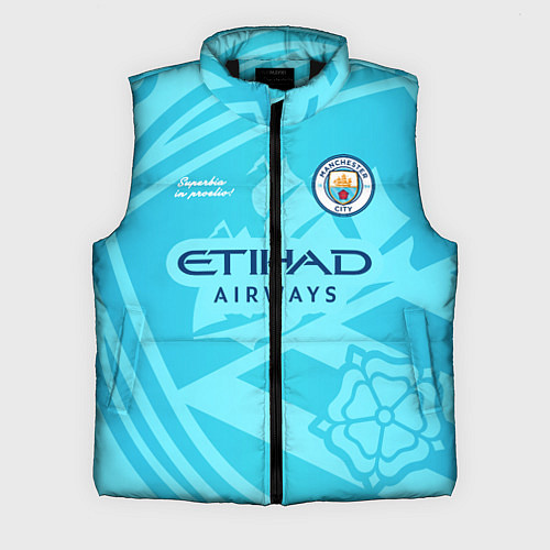 Мужской жилет MANCHESTER CITY / 3D-Черный – фото 1