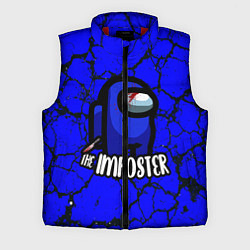 Мужской жилет AMONG US