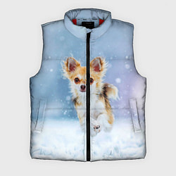 Мужской жилет Чихуахуа в снегу, цвет: 3D-красный