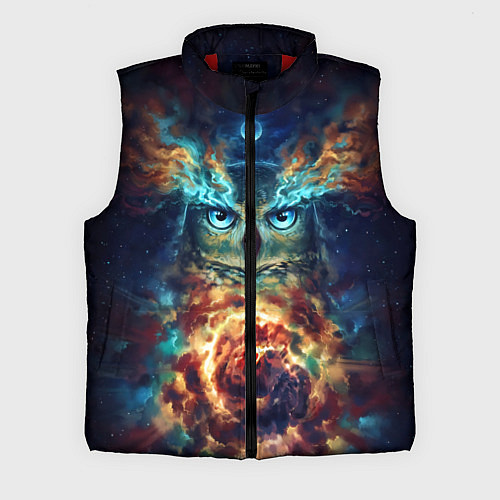 Мужской жилет Сова Космос / 3D-Красный – фото 1