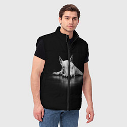 Мужской жилет Puppy, цвет: 3D-черный — фото 2