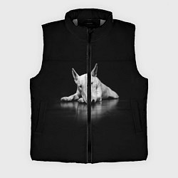 Мужской жилет Puppy