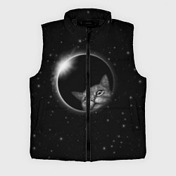 Мужской жилет Кот в Космосе