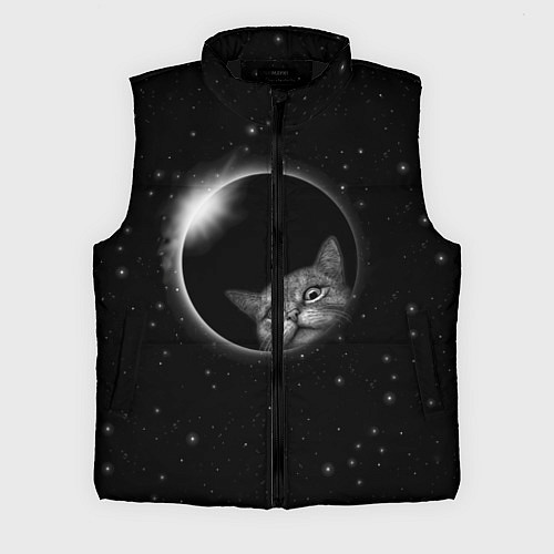 Мужской жилет Кот в Космосе / 3D-Черный – фото 1