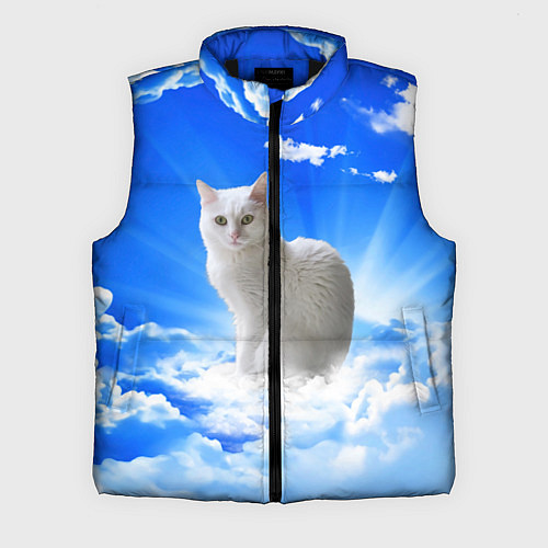 Мужской жилет Кот в облаках / 3D-Черный – фото 1