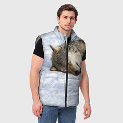 Мужской жилет Спящий Волк, цвет: 3D-светло-серый — фото 2
