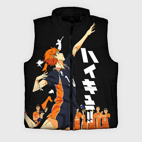Мужской жилет ВОЛЕЙБОЛ!! HAIKYUU!! / 3D-Черный – фото 1