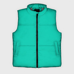 Мужской жилет Бискайский зеленый без рисунка, цвет: 3D-светло-серый
