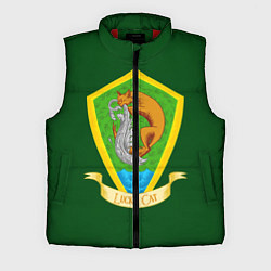 Мужской жилет Удачливый кот