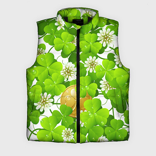 Мужской жилет Ирландский Клевер и Монетка / 3D-Черный – фото 1