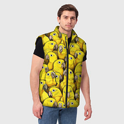 Мужской жилет Попугаи, цвет: 3D-черный — фото 2