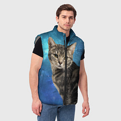 Мужской жилет Кот Космос, цвет: 3D-светло-серый — фото 2