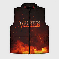 Мужской жилет Valheim огненный лого, цвет: 3D-красный