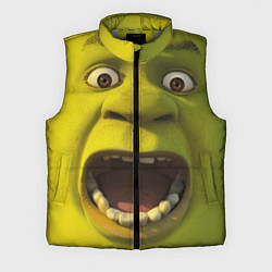 Мужской жилет Shrek is Yelling, цвет: 3D-светло-серый