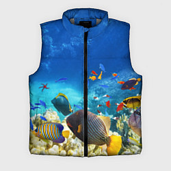 Мужской жилет Морской мир, цвет: 3D-светло-серый