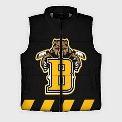 Мужской жилет BOSTON BRUINS, цвет: 3D-светло-серый