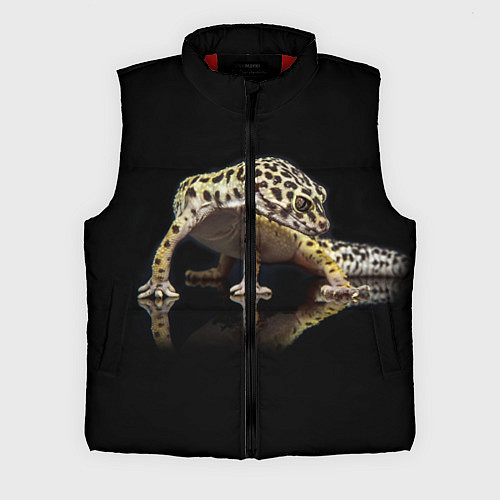 Мужской жилет ЭУБЛЕФАР EUBLEPHARIS / 3D-Красный – фото 1