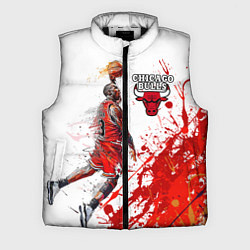 Мужской жилет CHICAGO BULLS 9, цвет: 3D-черный
