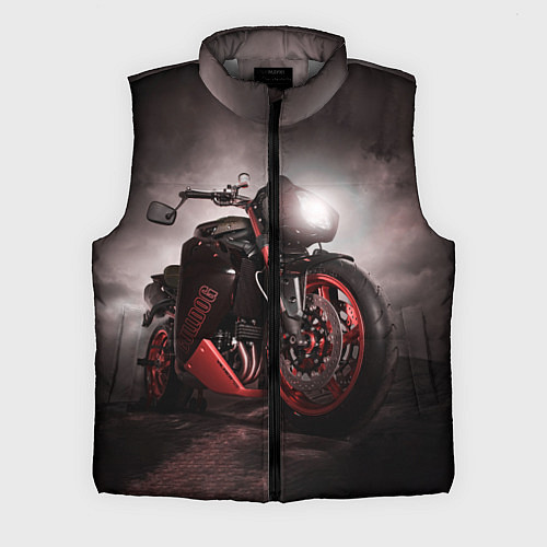 Мужской жилет СУПЕРБАЙК / 3D-Светло-серый – фото 1