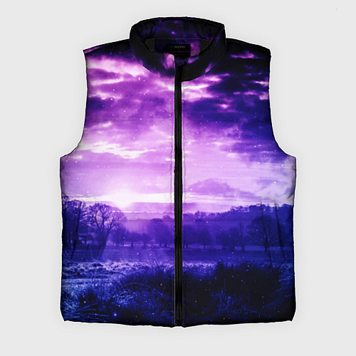 Мужской жилет ФИОЛЕТОВЫЙ РАЙ / 3D-Черный – фото 1