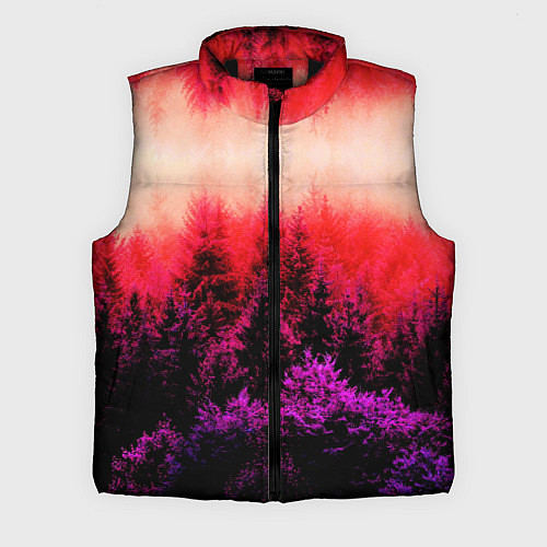 Мужской жилет КРАСНАЯ ОСЕНЬ / 3D-Черный – фото 1