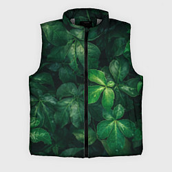 Мужской жилет Тропическая листва Тропики Z
