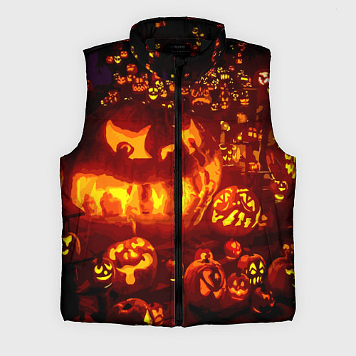 Мужской жилет Тыквы на Хэллоуин / 3D-Черный – фото 1