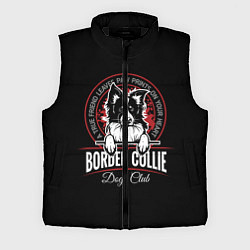 Мужской жилет Бордер-Колли Border Collie, цвет: 3D-черный