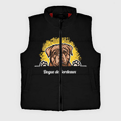 Мужской жилет Бордоский Дог Dogue de bordeaux